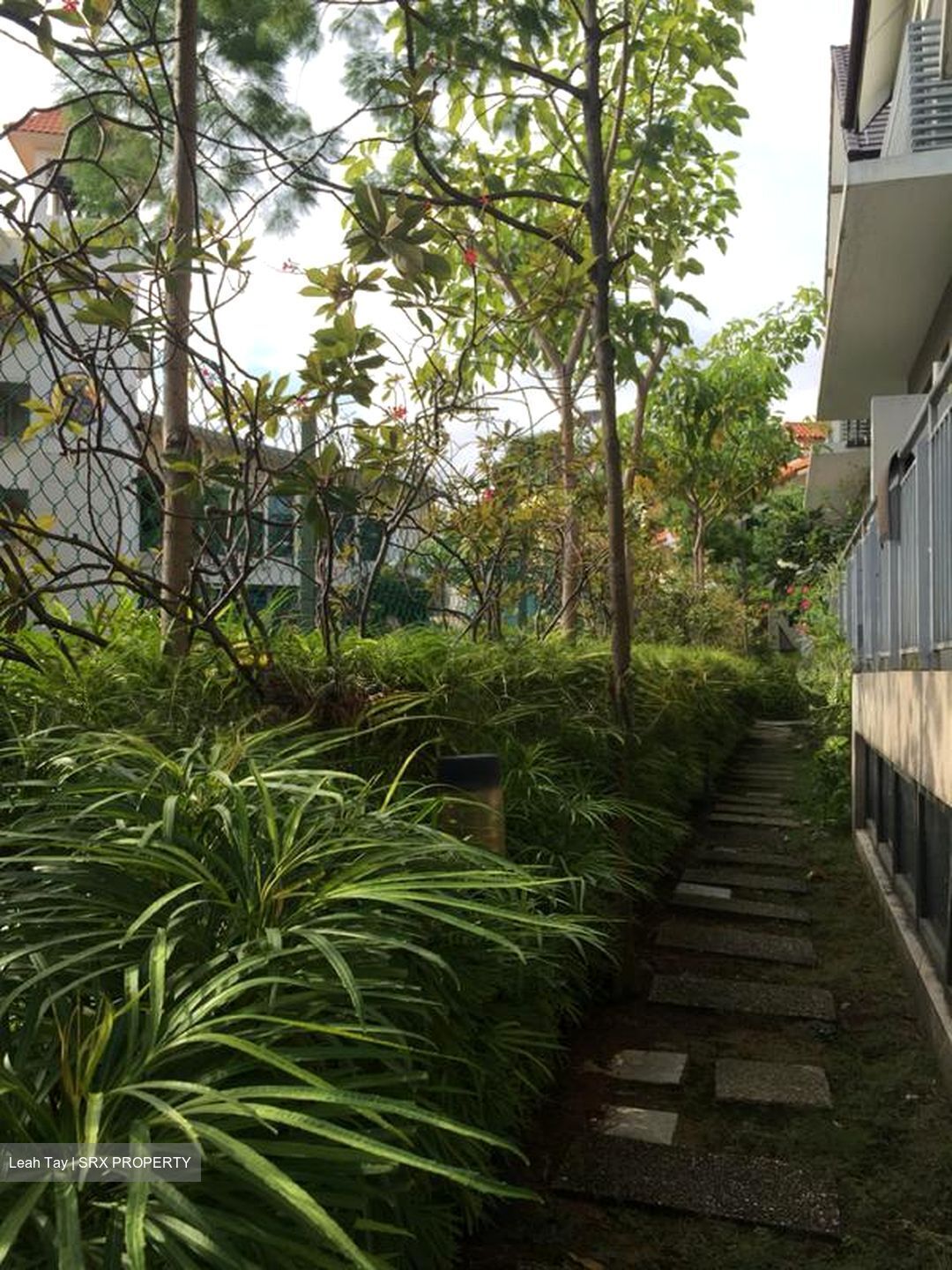 Siglap Hill 33 (D15), Detached #582164331